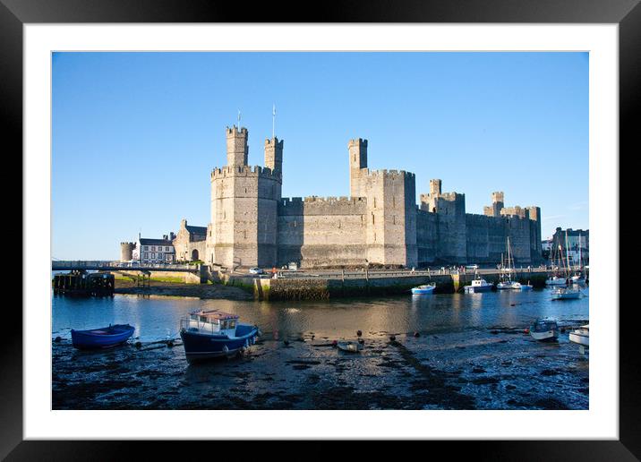 Caernarvon Castle Framed Mounted Print by Jeanette Teare