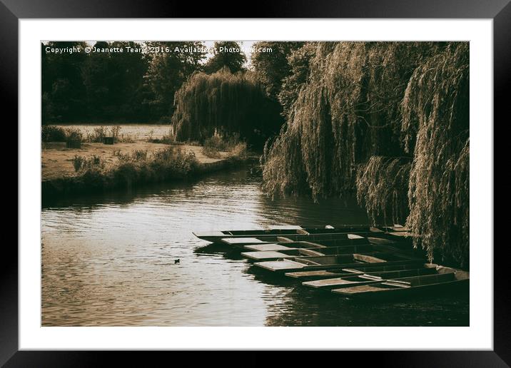 Still waters on the River Cam Framed Mounted Print by Jeanette Teare