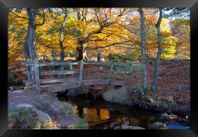 Padley Gorge bridge in autumn, beautiful colours of the Peak District Framed Print by Jeanette Teare