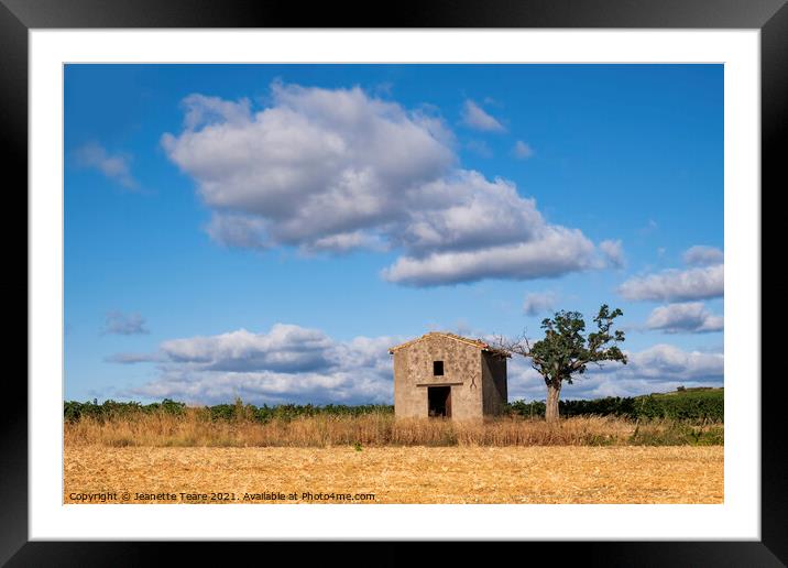 Lonely sky Framed Mounted Print by Jeanette Teare