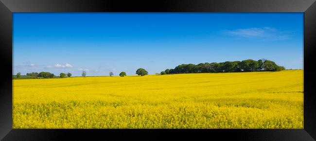 Summer fields Framed Print by Jeanette Teare