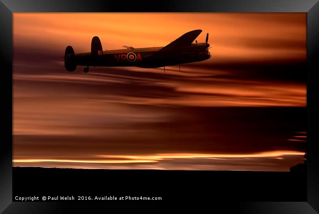 Born To Fly Framed Print by Paul Welsh