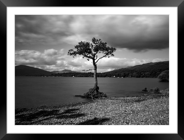 Millorchy Bay, Loch Lomond Framed Mounted Print by Natasha Irvine