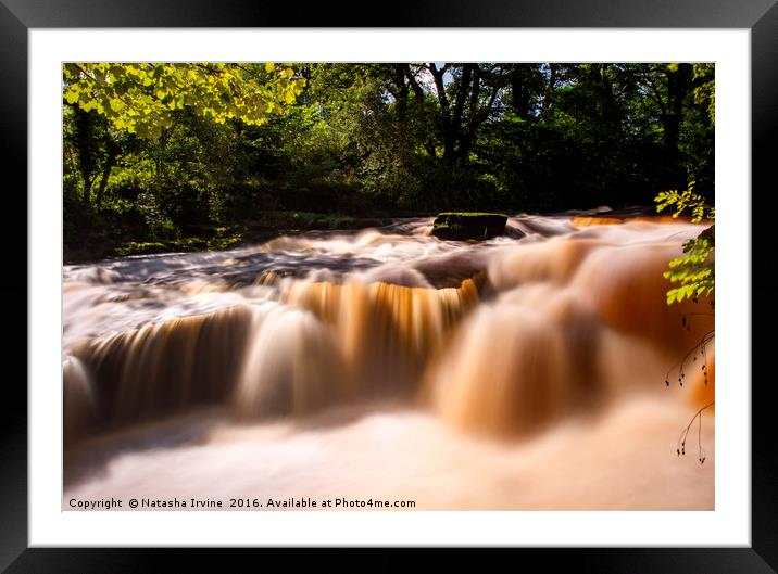 Gartness Pots Framed Mounted Print by Natasha Irvine