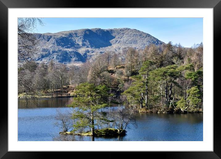 Tarn Hows Framed Mounted Print by Brian Spooner