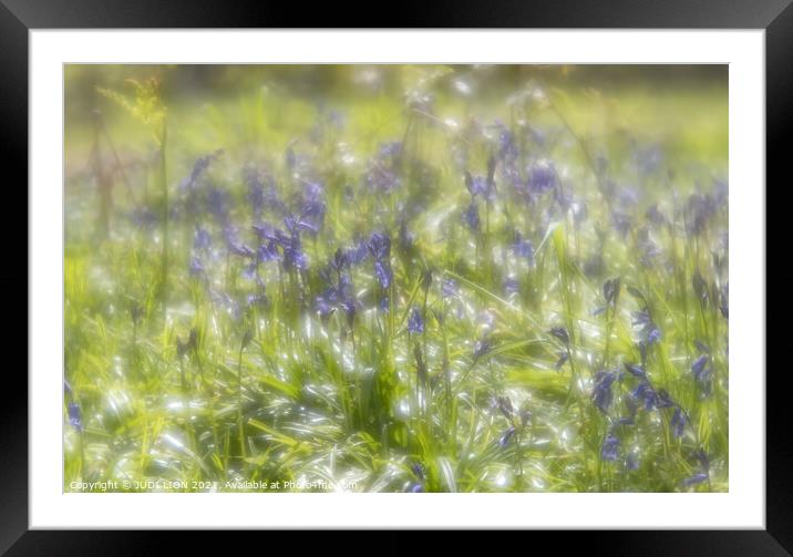 Sparkling Bluebells and Fairies Framed Mounted Print by JUDI LION