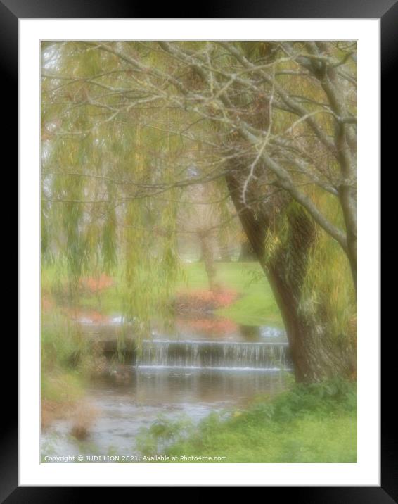Weeping Willow Impression Framed Mounted Print by JUDI LION