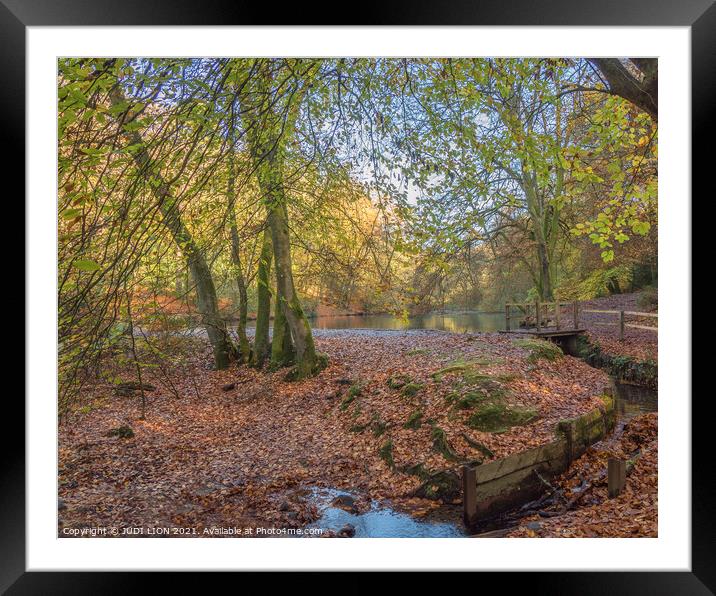 Autumn colours around a small lake Framed Mounted Print by JUDI LION