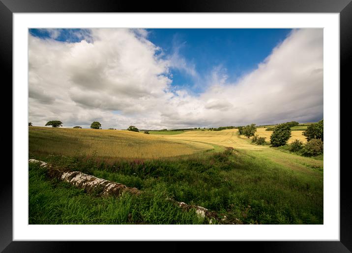 Scotland Corn Field Framed Mounted Print by Sarah Toon LRPS