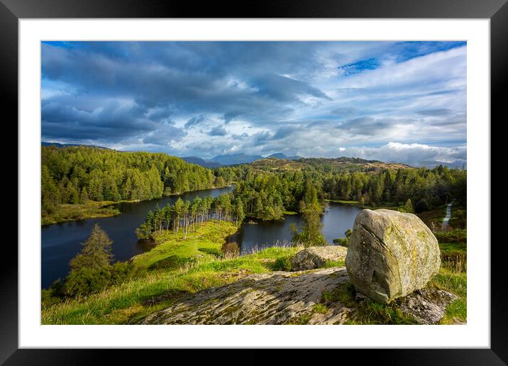 Tarn Hows in English Lake District Framed Mounted Print by Steve Heap
