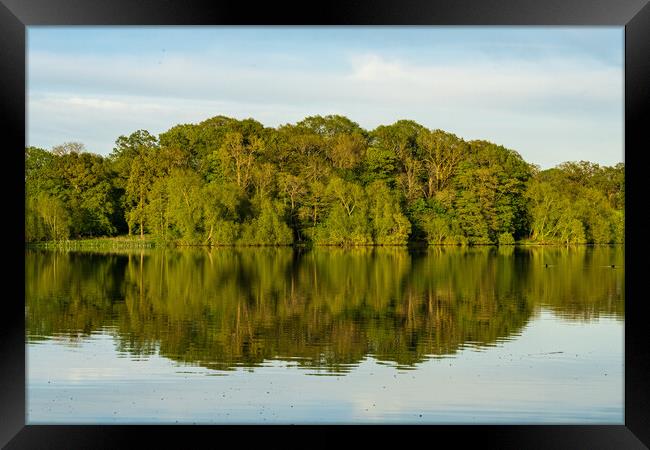 View across the Mere to a reflection of distant tr Framed Print by Steve Heap
