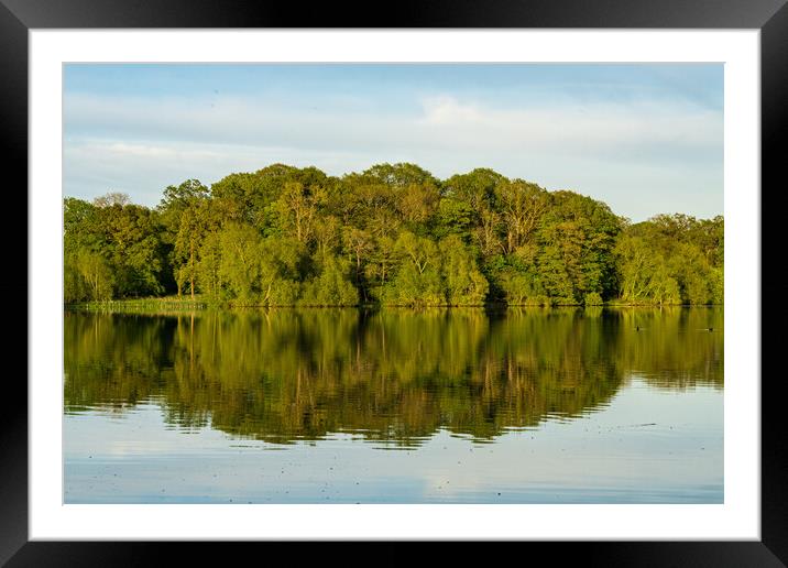 View across the Mere to a reflection of distant tr Framed Mounted Print by Steve Heap