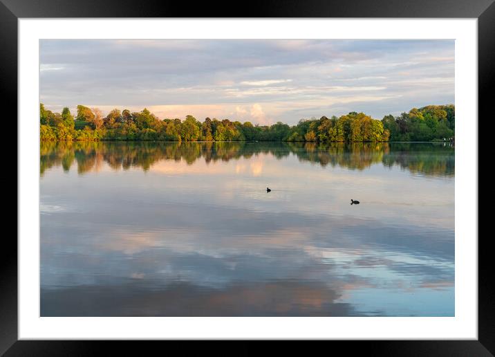 View across the Ellesmere Mere to a clear reflecti Framed Mounted Print by Steve Heap
