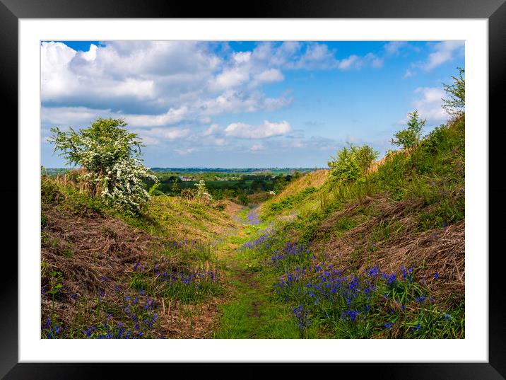Bluebells by the path on Old Oswestry hill fort in Framed Mounted Print by Steve Heap