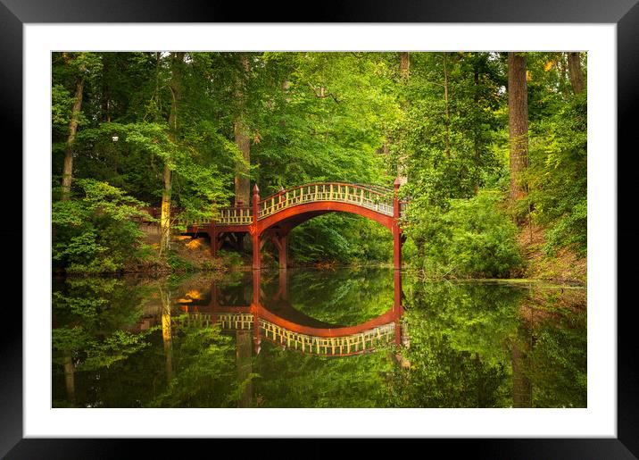 Crim Dell bridge at William and Mary college Framed Mounted Print by Steve Heap
