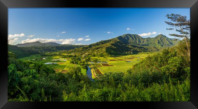 Panoramic view over the Hanalei national wildlife refuge Kauai Framed Print by Steve Heap