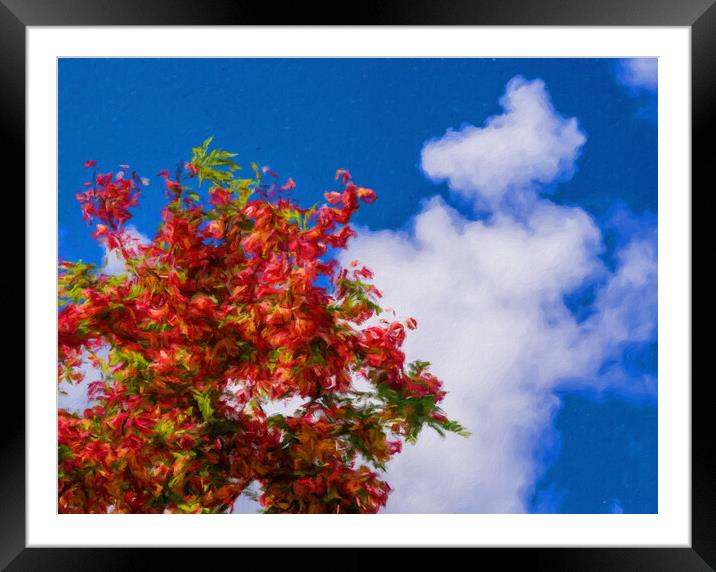 Impressionistic painting of rainbow shower tree blossoms Framed Mounted Print by Steve Heap