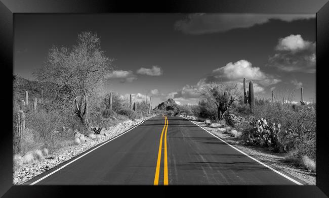 The road goes on for ever in Saguaro national park Framed Print by Steve Heap