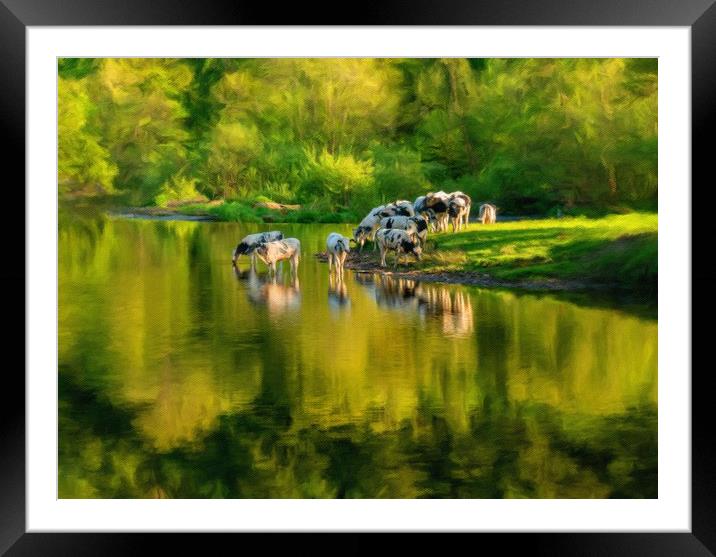 Digital art of cows in River Dee outside Llangolle Framed Mounted Print by Steve Heap