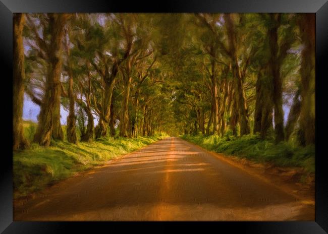 Famous Tree Tunnel of Eucalyptus on Kauai Framed Print by Steve Heap