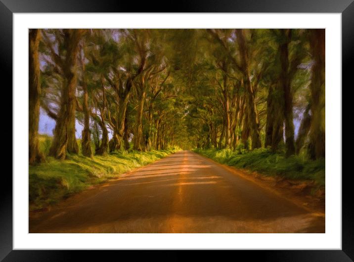 Famous Tree Tunnel of Eucalyptus on Kauai Framed Mounted Print by Steve Heap