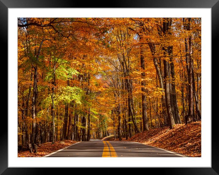 Road leading to Coopers Rock state park overlook in West Virgini Framed Mounted Print by Steve Heap