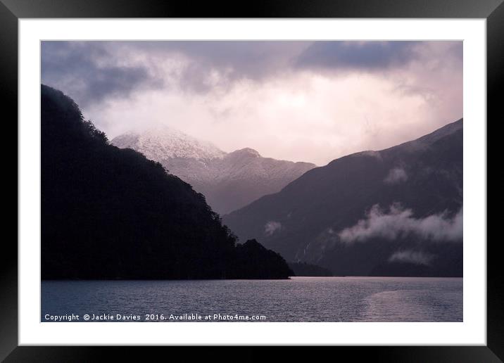 Doubtful Sound   Framed Mounted Print by Jackie Davies