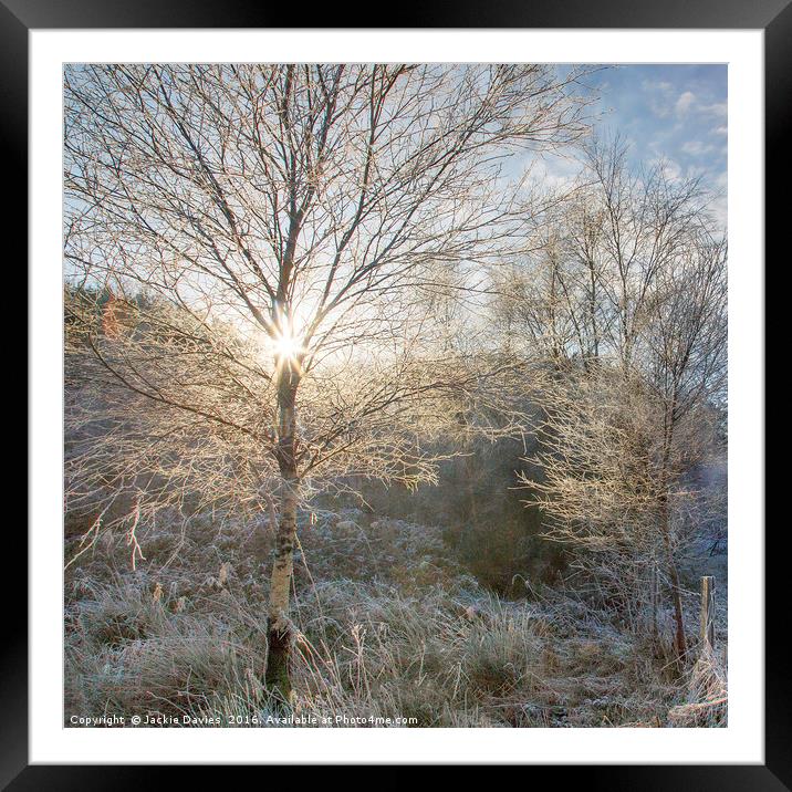 Winter Sunburst Framed Mounted Print by Jackie Davies