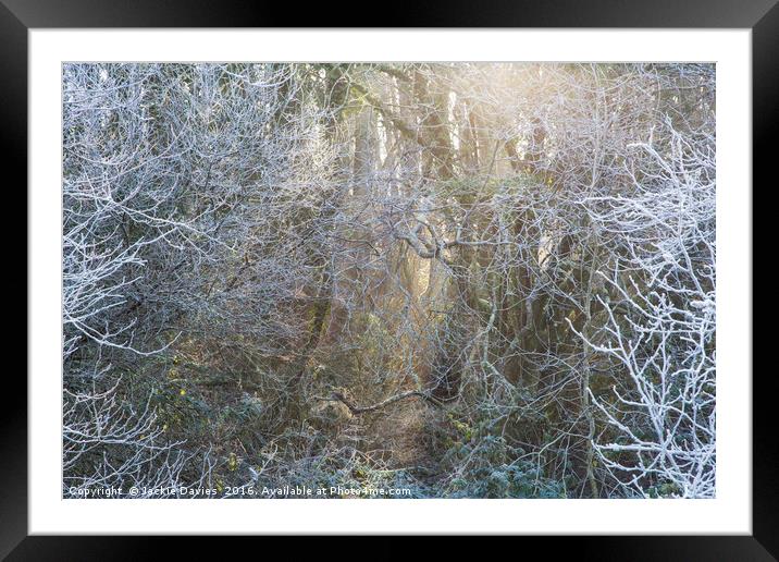 Frosty Winter Forest Framed Mounted Print by Jackie Davies