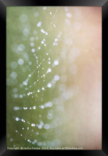 Spider Lights Framed Print by Jackie Davies