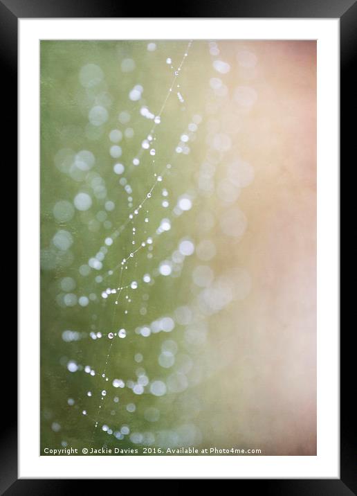 Spider Lights Framed Mounted Print by Jackie Davies