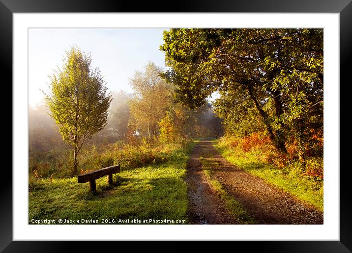 Autumn Pathway Framed Mounted Print by Jackie Davies