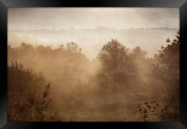 Autumn Mists Framed Print by Jackie Davies