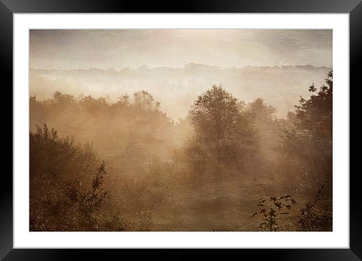 Autumn Mists Framed Mounted Print by Jackie Davies