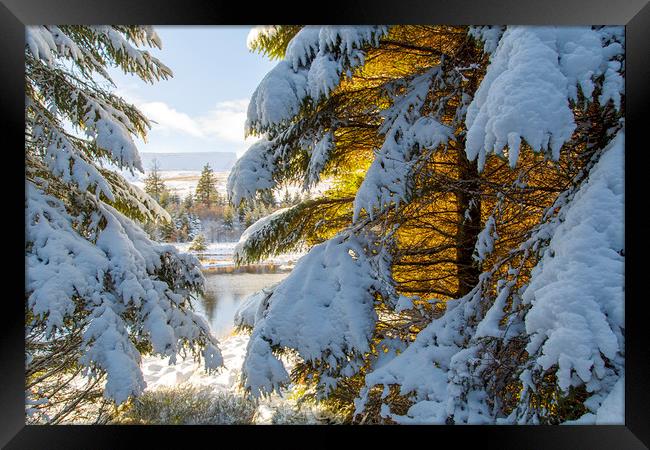 Winter Wonderland Snowscape  Framed Print by Jackie Davies