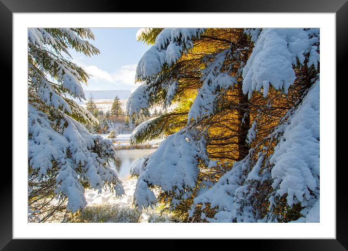 Winter Wonderland Snowscape  Framed Mounted Print by Jackie Davies