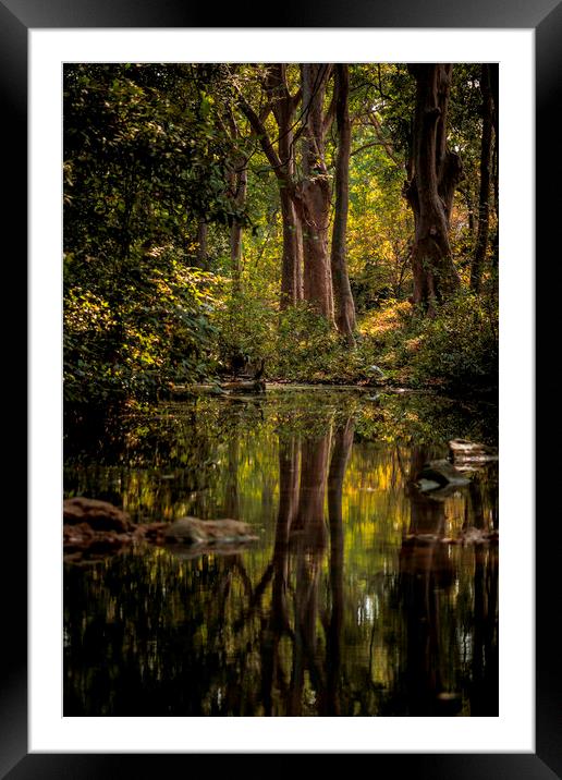 Pench Landscape Framed Mounted Print by Indranil Bhattacharjee