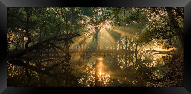 Rays from heaven Framed Print by Indranil Bhattacharjee