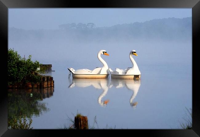 Not really swans in the mist        Framed Print by Peter Balfour