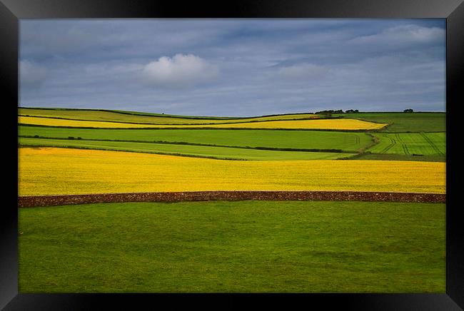 Fields at the bottom of St Bees Head, Cumbria Framed Print by David Bigwood