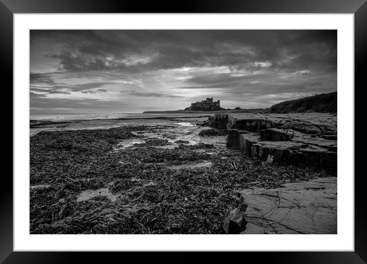 Bamburgh Castle, Northumberland Framed Mounted Print by James Reed