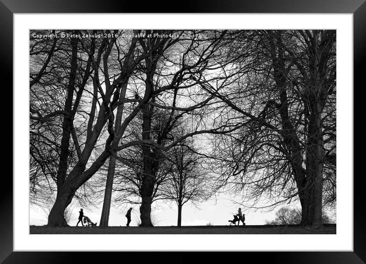 Walking in the park Framed Mounted Print by Peter Zabulis