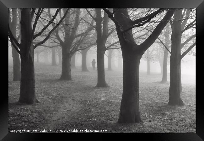 A figure in the mist Framed Print by Peter Zabulis