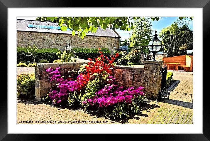 Eglinton Country Park in full Bloom Framed Mounted Print by Peter Gaeng