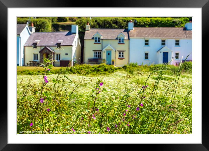 Abercastle cottages Framed Mounted Print by geoff shoults