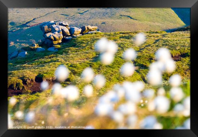 Kinder Scout Cotton Grasses  Framed Print by geoff shoults