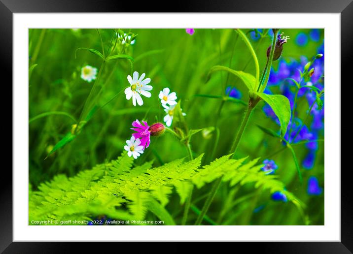 Spring Framed Mounted Print by geoff shoults