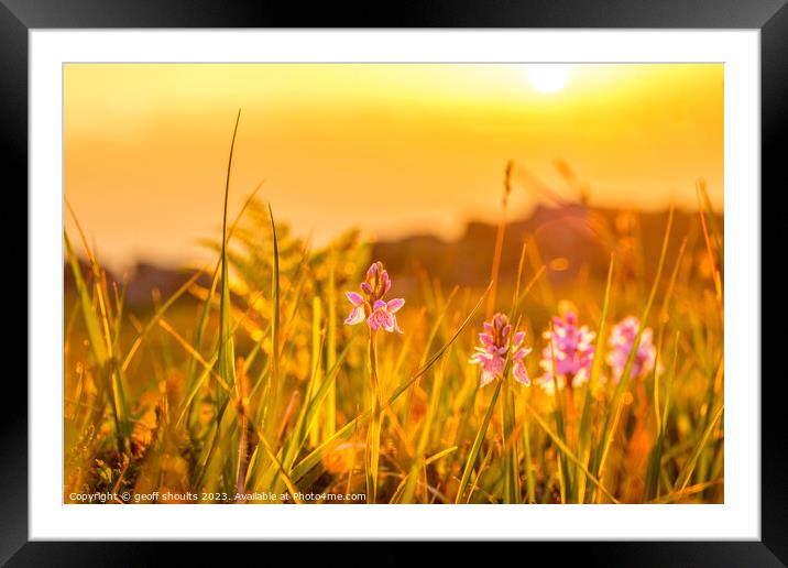 Mull sunset II Framed Mounted Print by geoff shoults