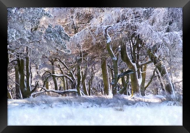 Peak District woodland in winter Framed Print by geoff shoults