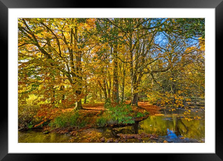 Autumn, River Dove , Peak District Framed Mounted Print by geoff shoults